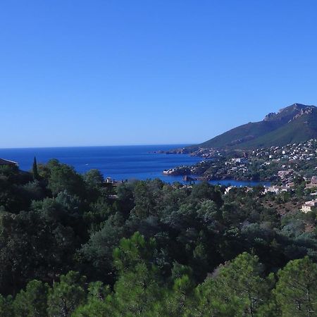 Cote D'Azur - Theoule - Miramar Apartment ภายนอก รูปภาพ